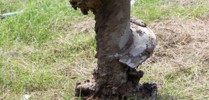 5 Best Tips for Using Digger Derricks Safely